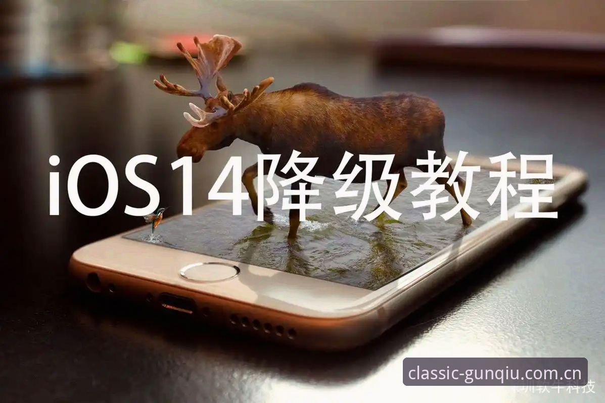 老版滚球体育APP下载与iOS版入口使用教程